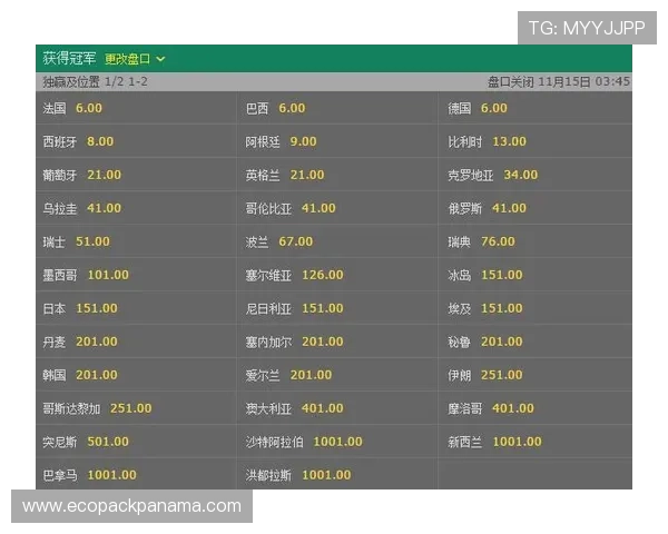 掌握世界杯赔率变化规律提升投注策略实现盈利的实用技巧